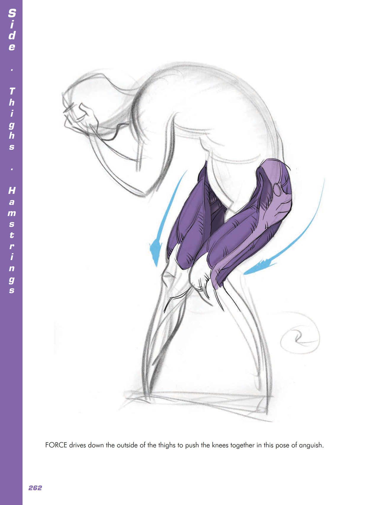 Force. Drawing human anatomy - Michael D. Mattesi [Digital] 283
