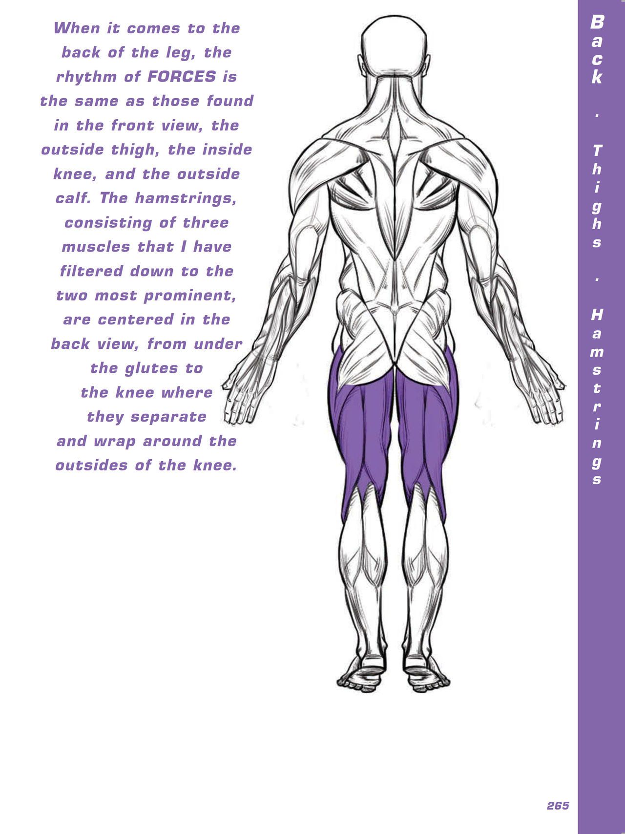 Force. Drawing human anatomy - Michael D. Mattesi [Digital] 286
