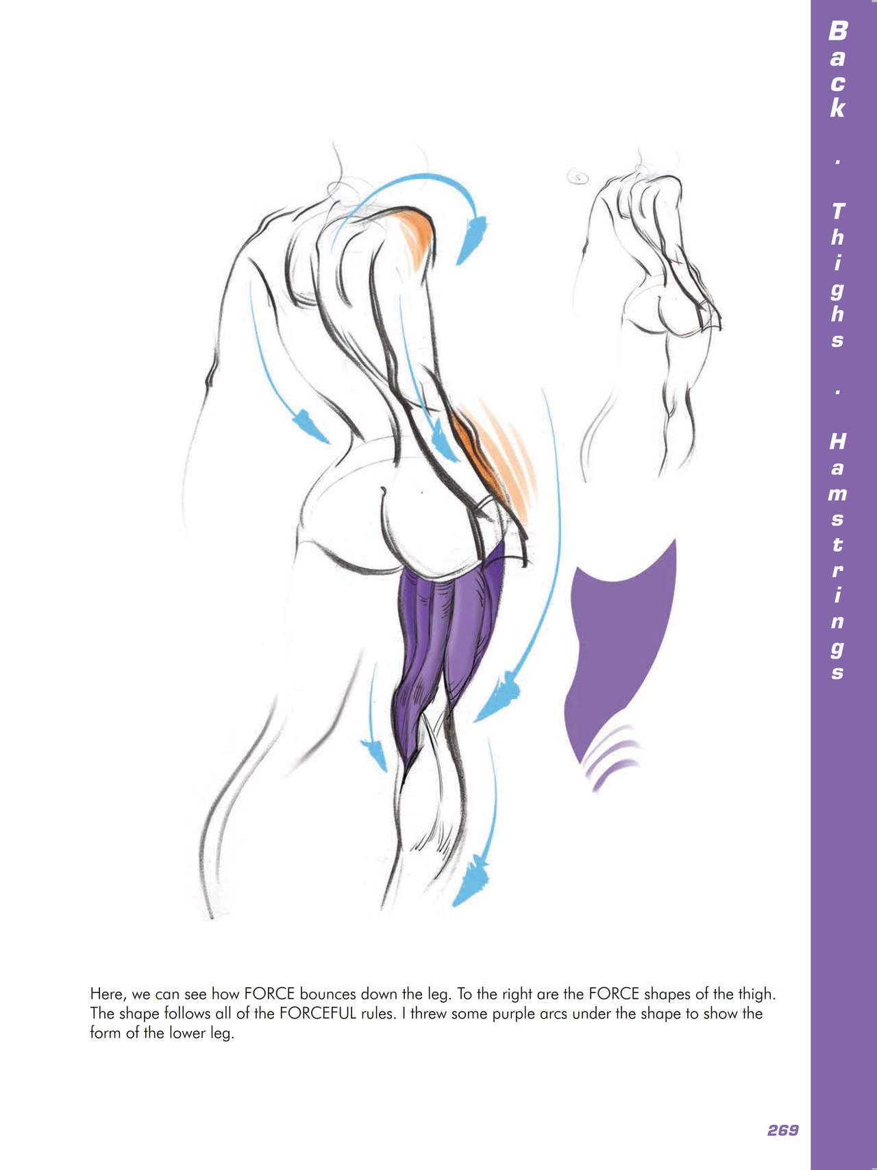 Force. Drawing human anatomy - Michael D. Mattesi [Digital] 290