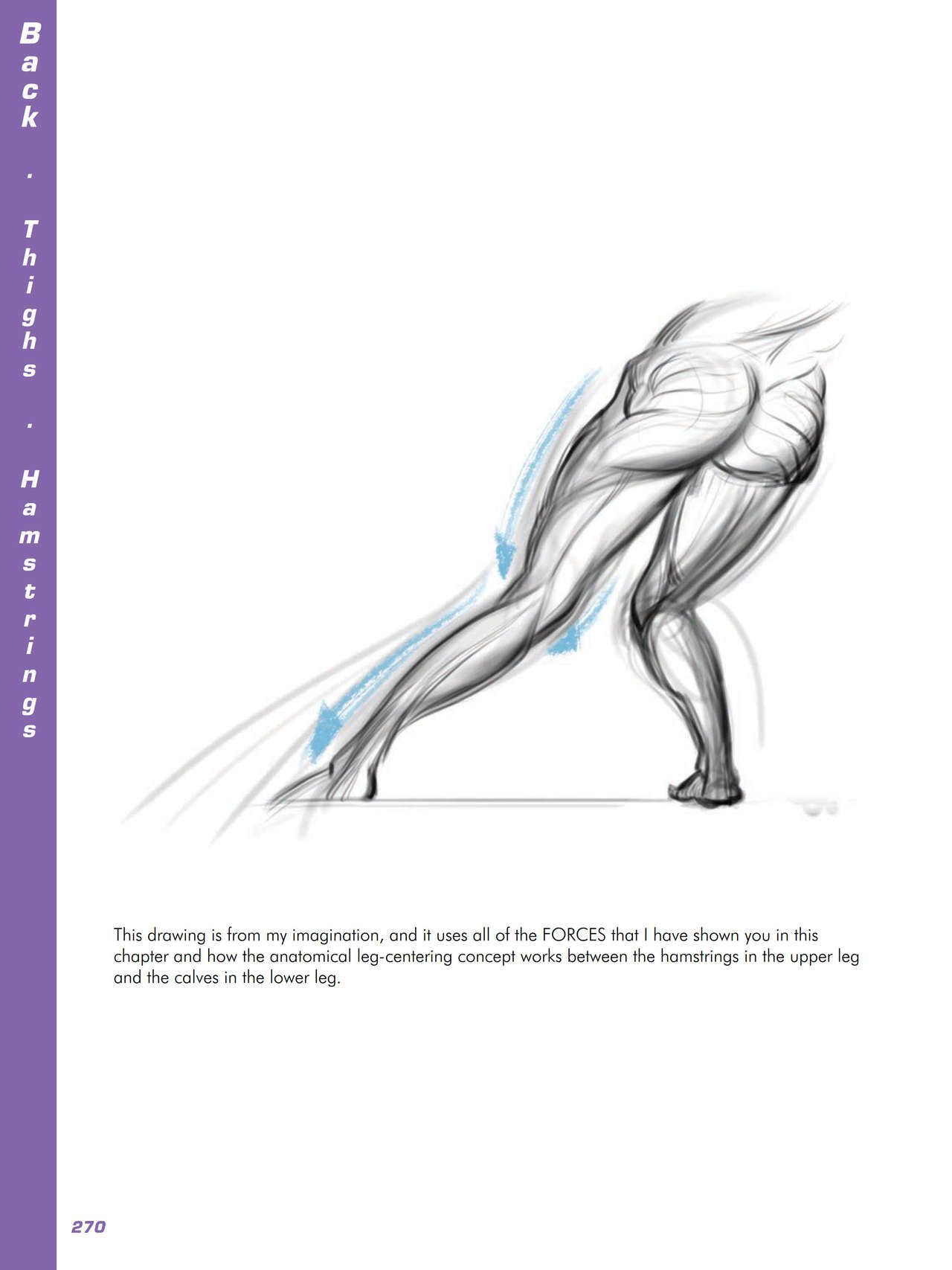 Force. Drawing human anatomy - Michael D. Mattesi [Digital] 291