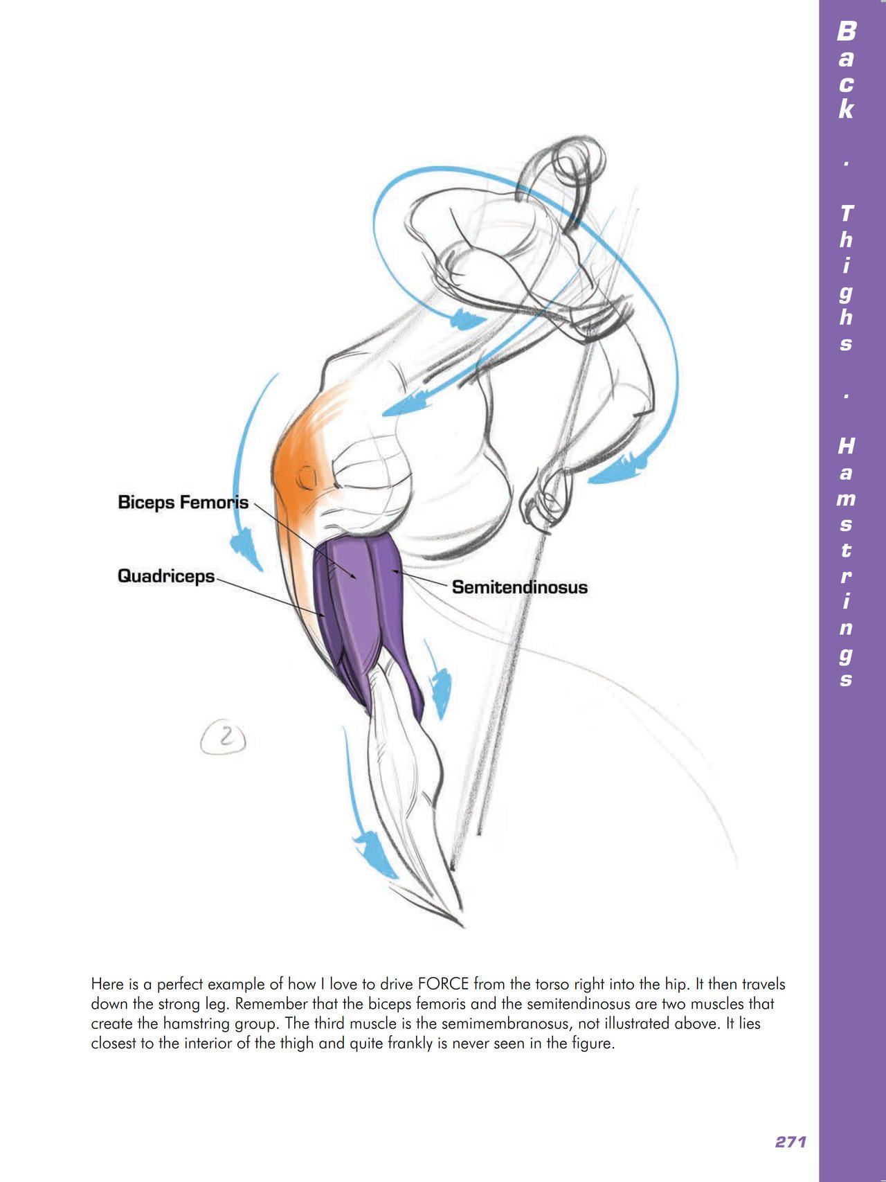 Force. Drawing human anatomy - Michael D. Mattesi [Digital] 292