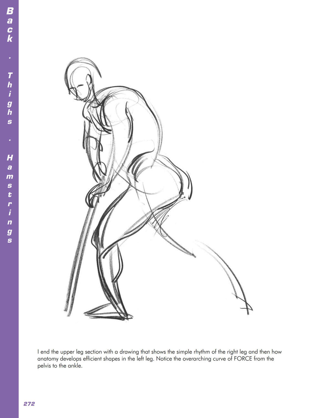 Force. Drawing human anatomy - Michael D. Mattesi [Digital] 293