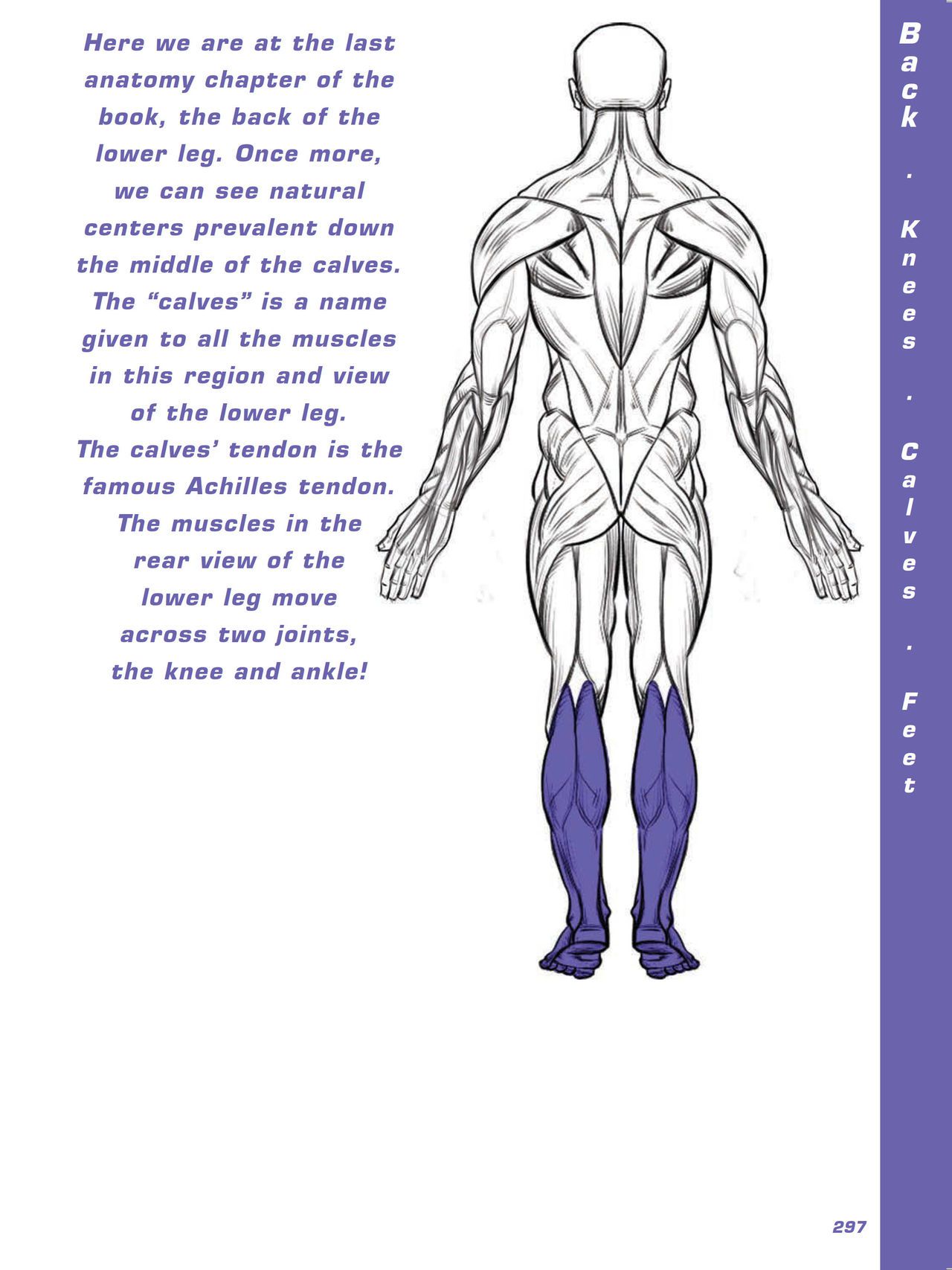 Force. Drawing human anatomy - Michael D. Mattesi [Digital] 318