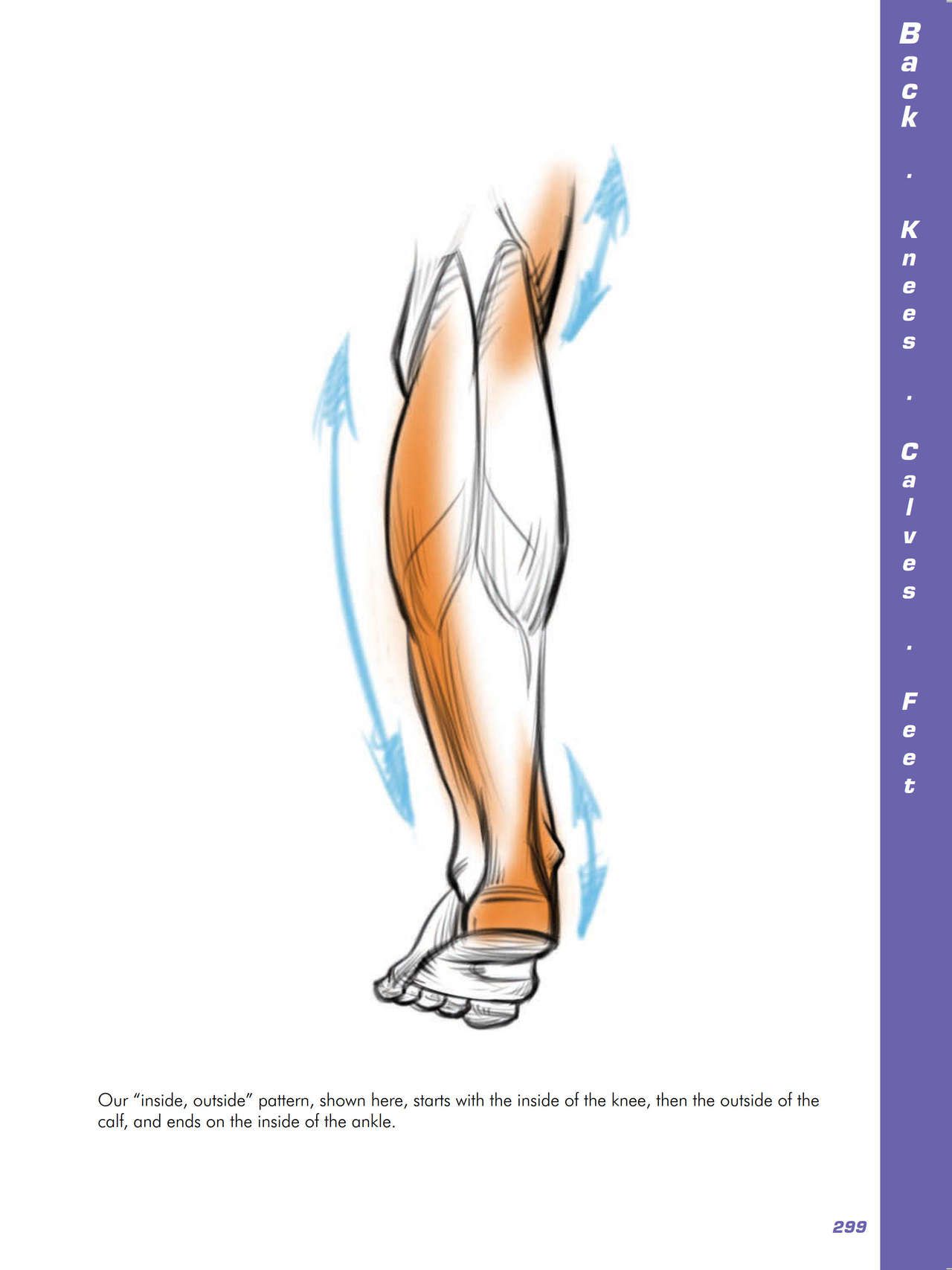 Force. Drawing human anatomy - Michael D. Mattesi [Digital] 320