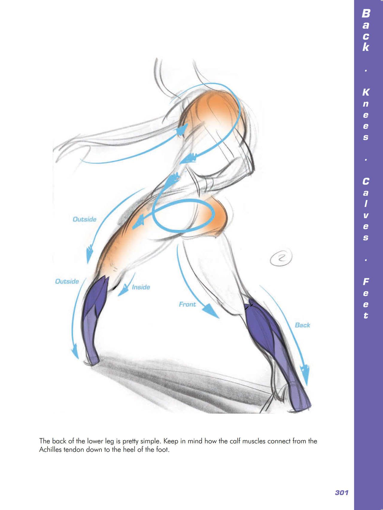 Force. Drawing human anatomy - Michael D. Mattesi [Digital] 322