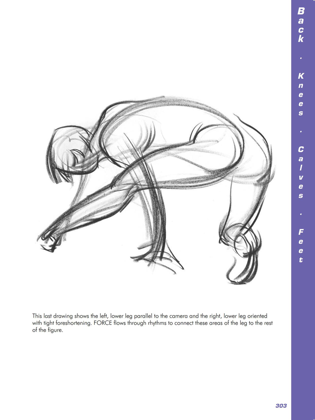 Force. Drawing human anatomy - Michael D. Mattesi [Digital] 324