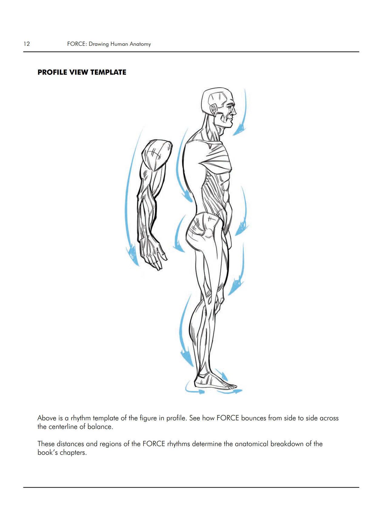 Force. Drawing human anatomy - Michael D. Mattesi [Digital] 33