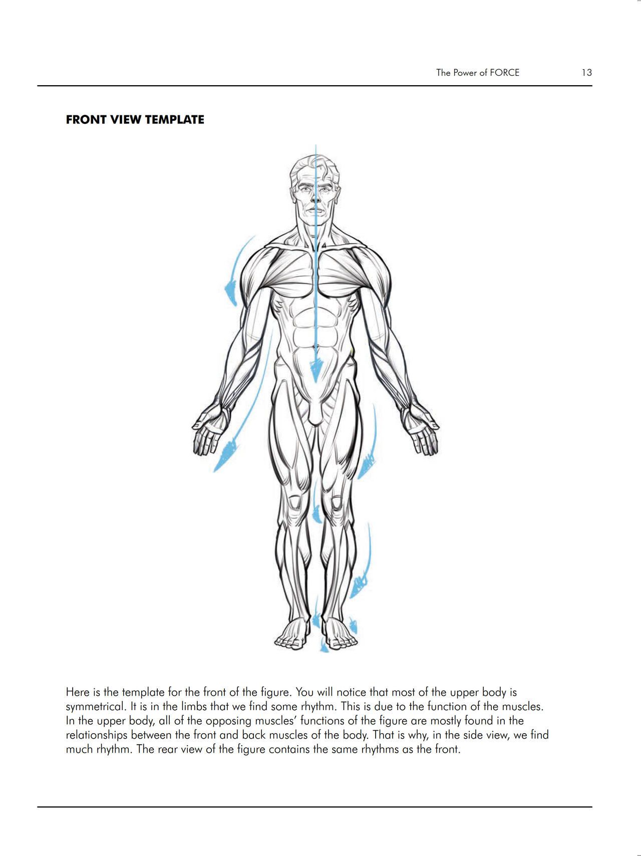 Force. Drawing human anatomy - Michael D. Mattesi [Digital] 34