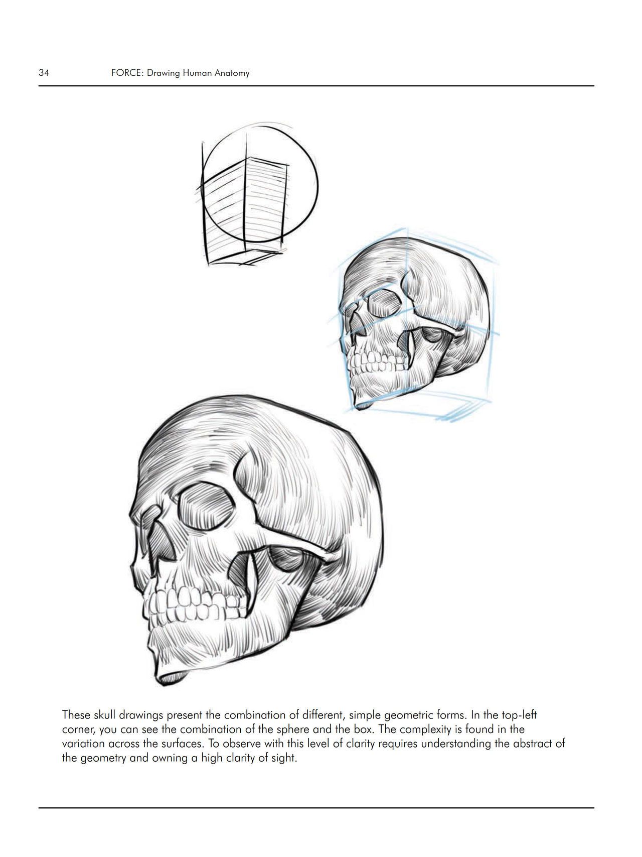 Force. Drawing human anatomy - Michael D. Mattesi [Digital] 55