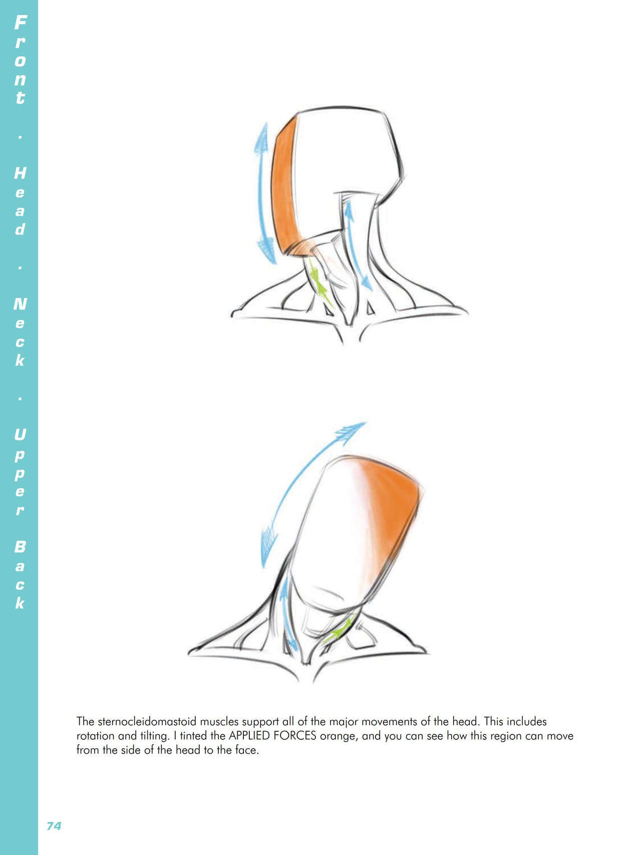 Force. Drawing human anatomy - Michael D. Mattesi [Digital] 95