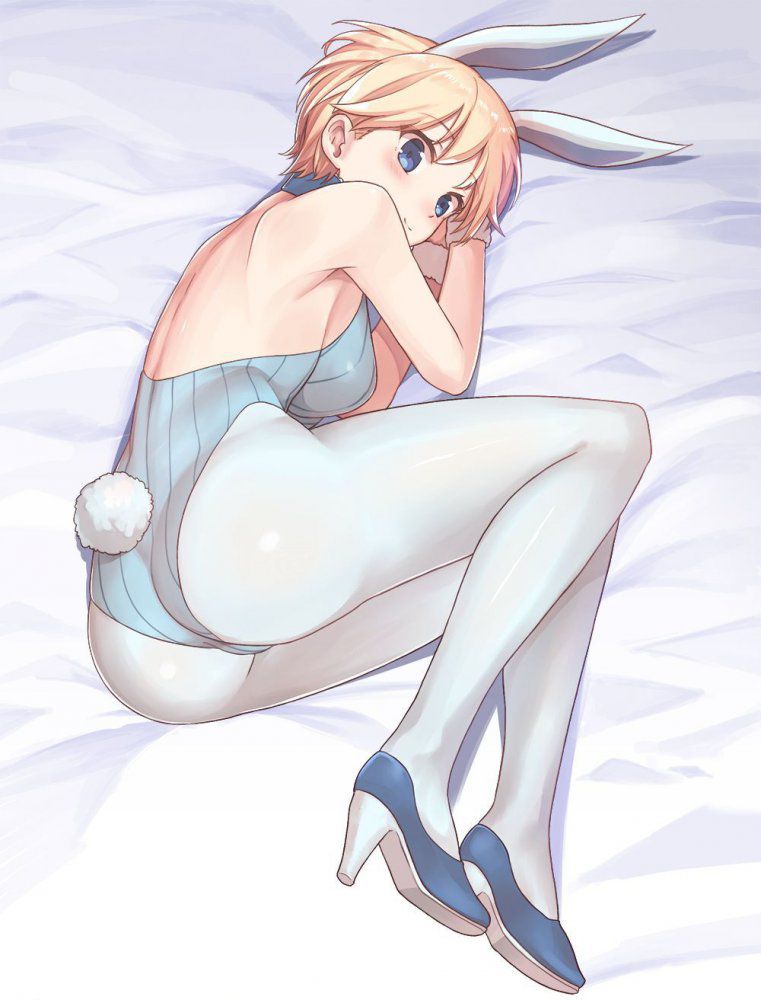 It is an erotic image of a bunny girl! 15