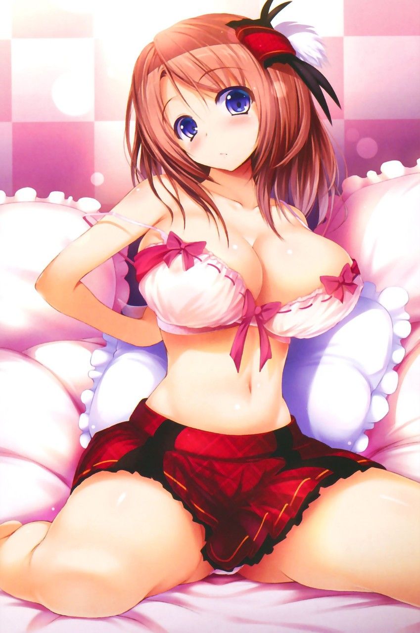 2D Beautiful Girl Sexy Lingerie Image 5 1