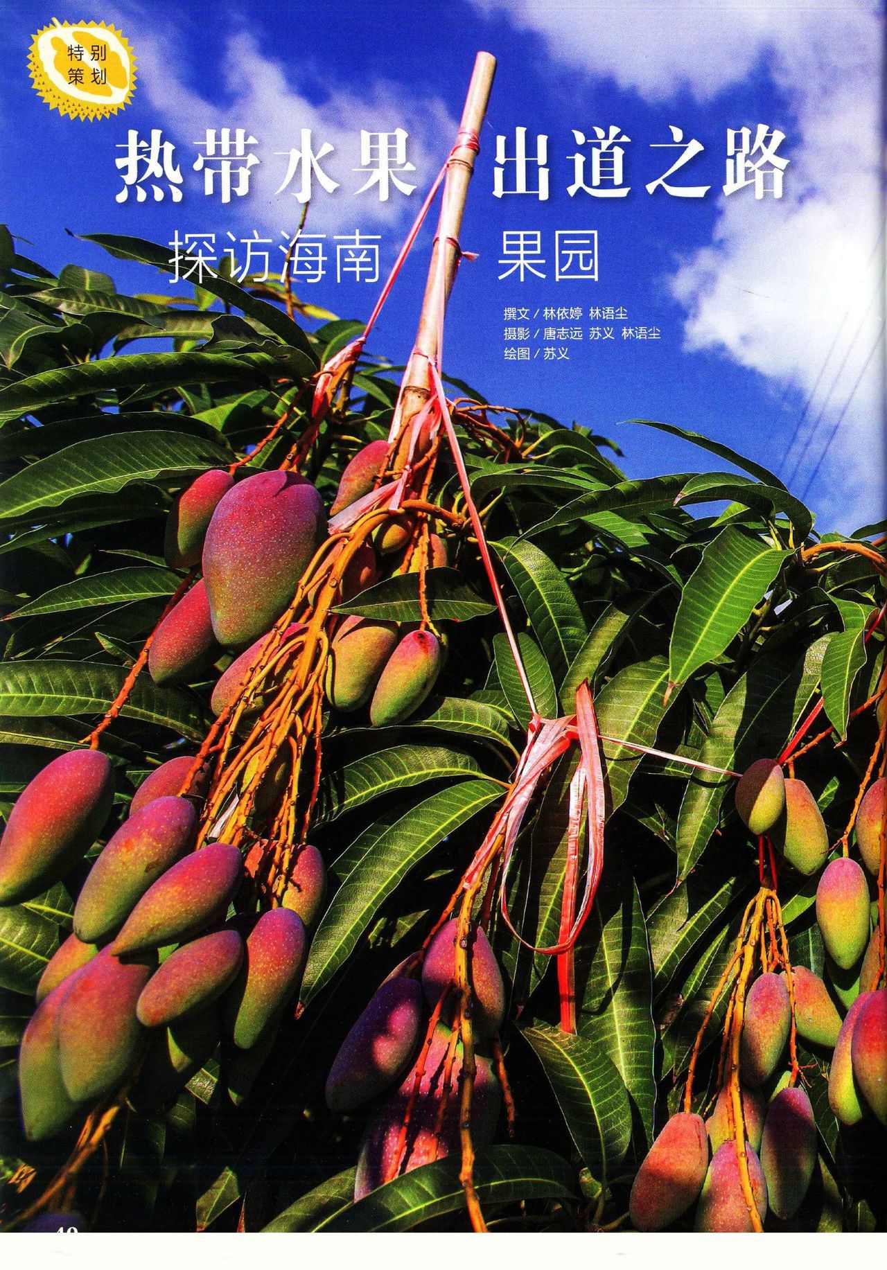 Museum Magazine July 2019 《博物》杂志2019年7月 42