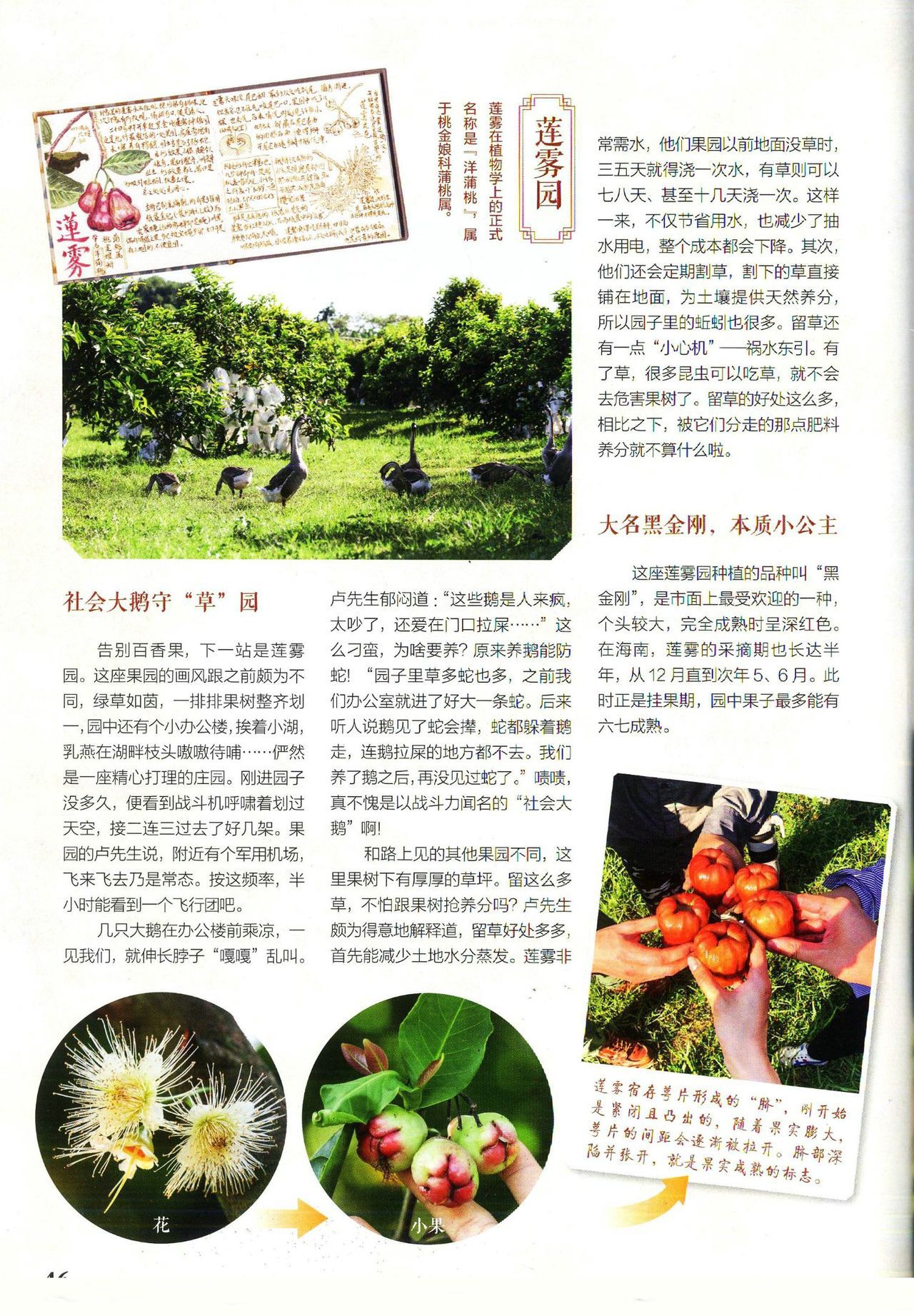 Museum Magazine July 2019 《博物》杂志2019年7月 48