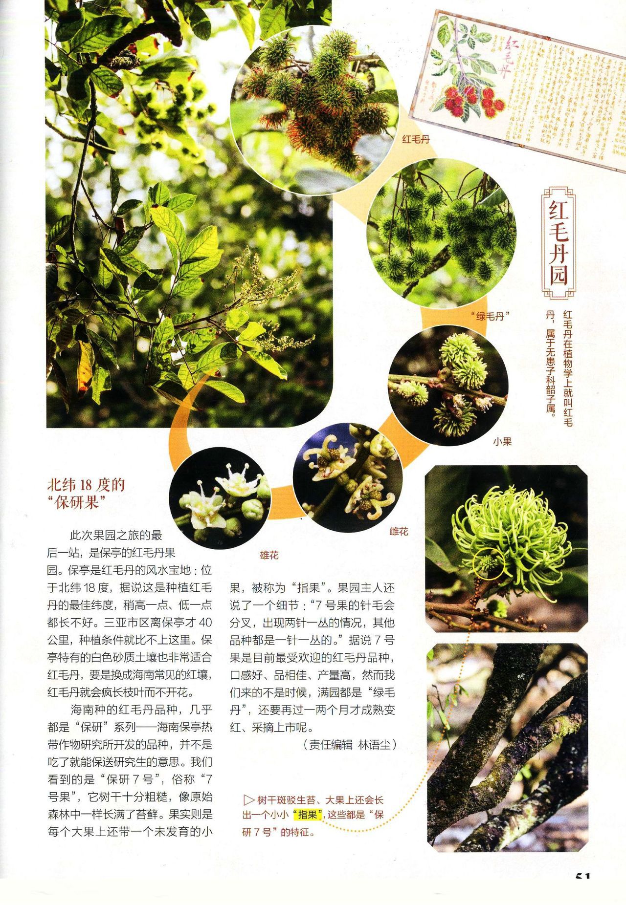 Museum Magazine July 2019 《博物》杂志2019年7月 53