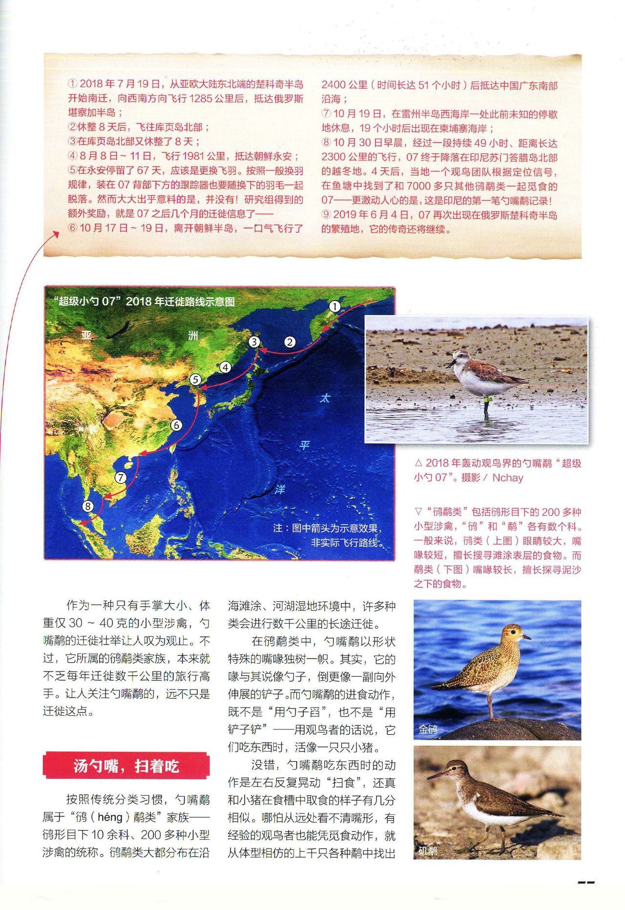 Museum Magazine July 2019 《博物》杂志2019年7月 79