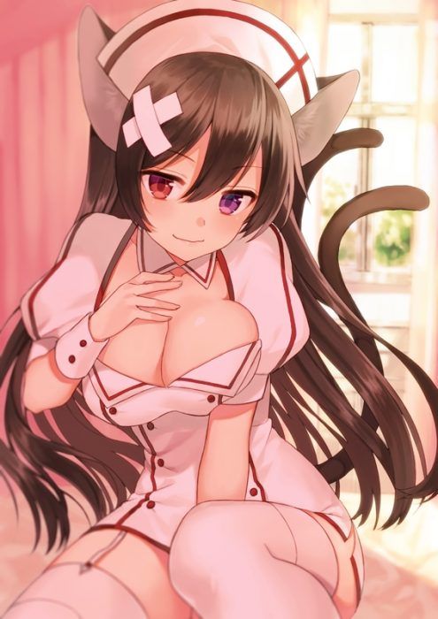 Erotic anime summary Erotic images that nurses process sex with nursing [60 sheets] 25
