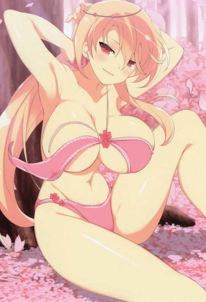 [Erotic anime summary] Senran Kagra appearance character erotic image [secondary erotic] 13