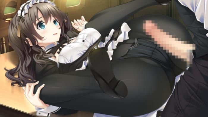 Maid's secondary erotic image summary Part 7 13