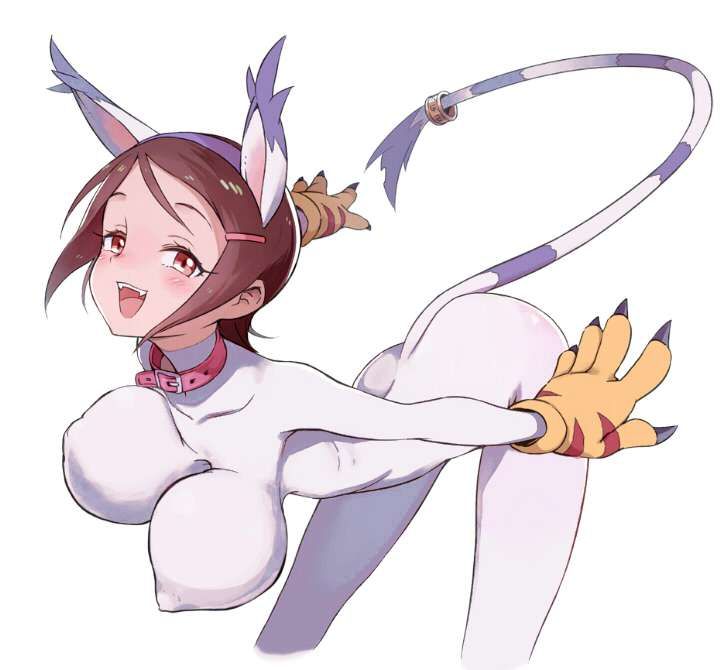 【Digimon Adventure】Erotic image of Hikari Yagami 16