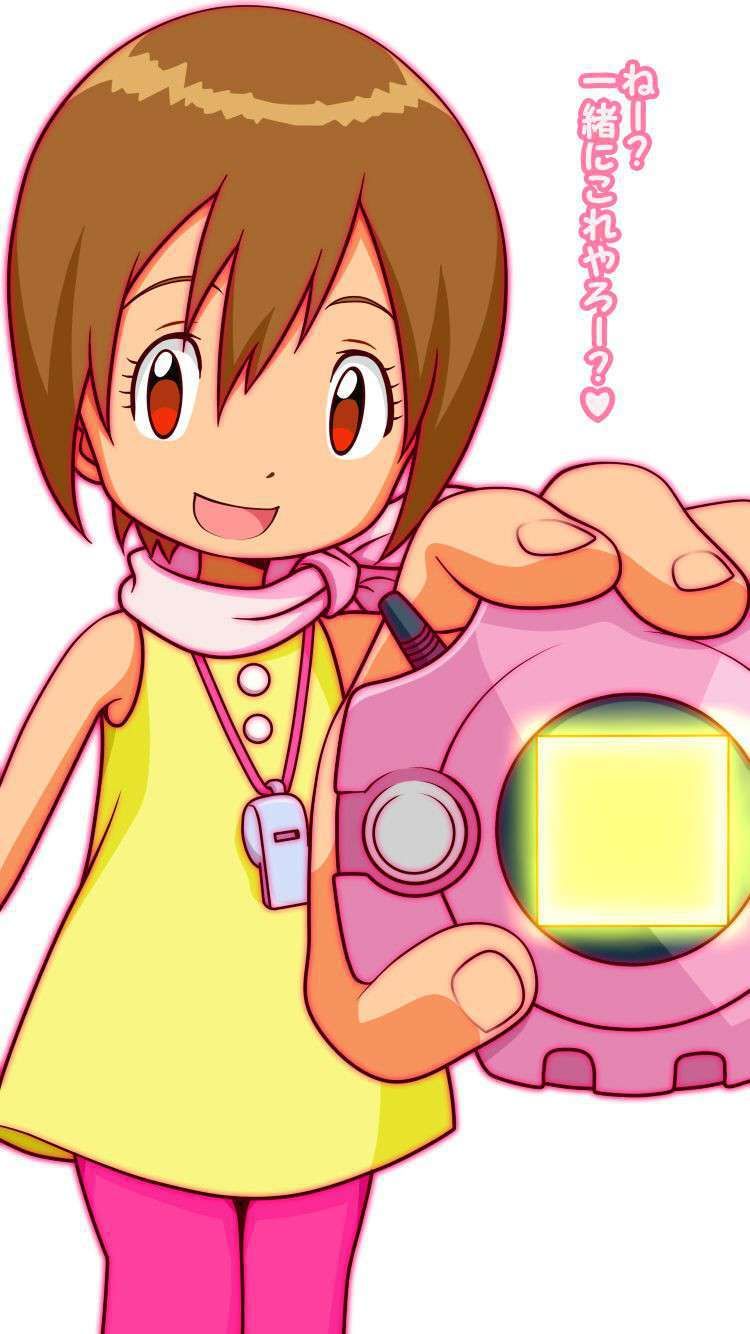 【Digimon Adventure】Erotic image of Hikari Yagami 30