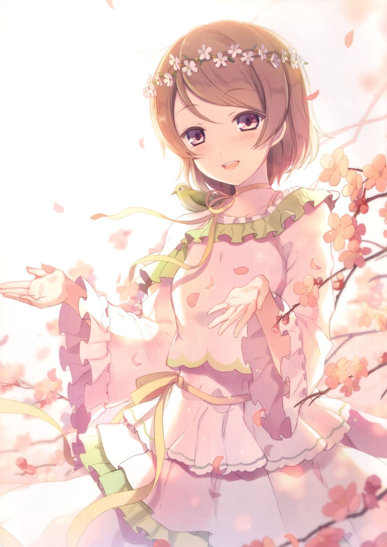 [Various Artist] Hanayo Koizumi [Love Live!] 47