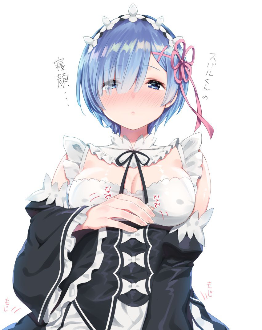 [Rezero] erotic image of sister REM Part 12 29