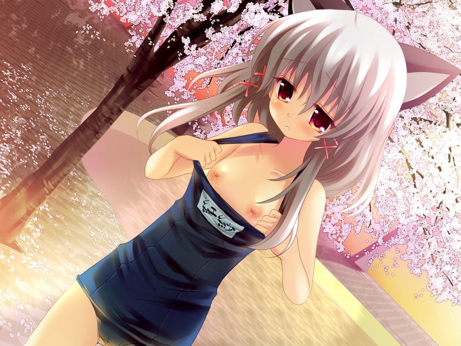 Erotic anime summary Small breasts beauty beautiful girls with modest [secondary erotic] 15