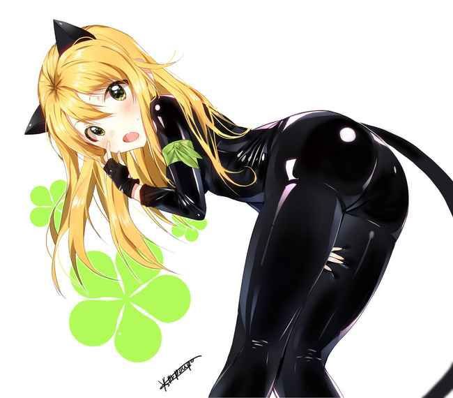 Erotic anime summary: Beautiful girls wearing pichi pichi's full-body tights and bodysuits [40 pieces] 37