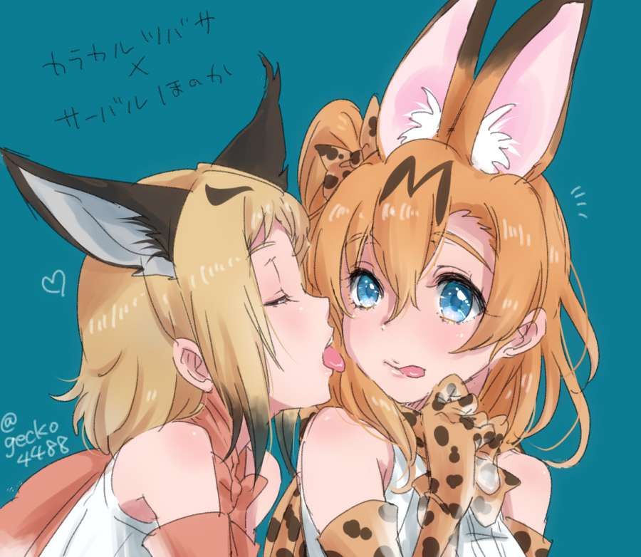 A collection of guys who want to syco with erotic images of Kemono Friends! 1