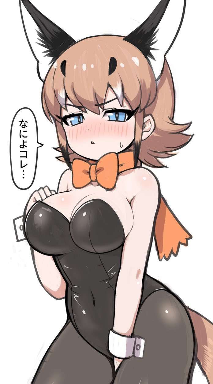 A collection of guys who want to syco with erotic images of Kemono Friends! 14