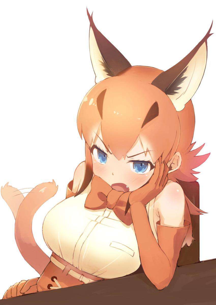 A collection of guys who want to syco with erotic images of Kemono Friends! 19