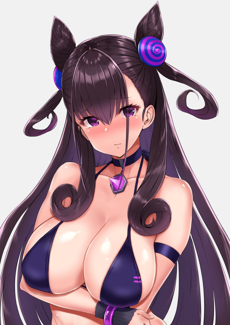 [Secondary erotic] FGO appearance cervant Murasaki Formula club erotic image is here 6