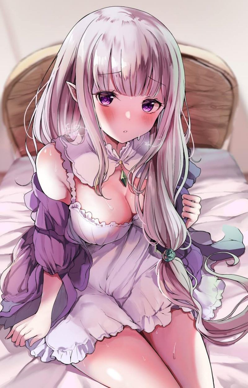 [Secondary erotic] Re: Life in a different world starting from scratch Rezero Emilia's erotic image summary [30 sheets] 21