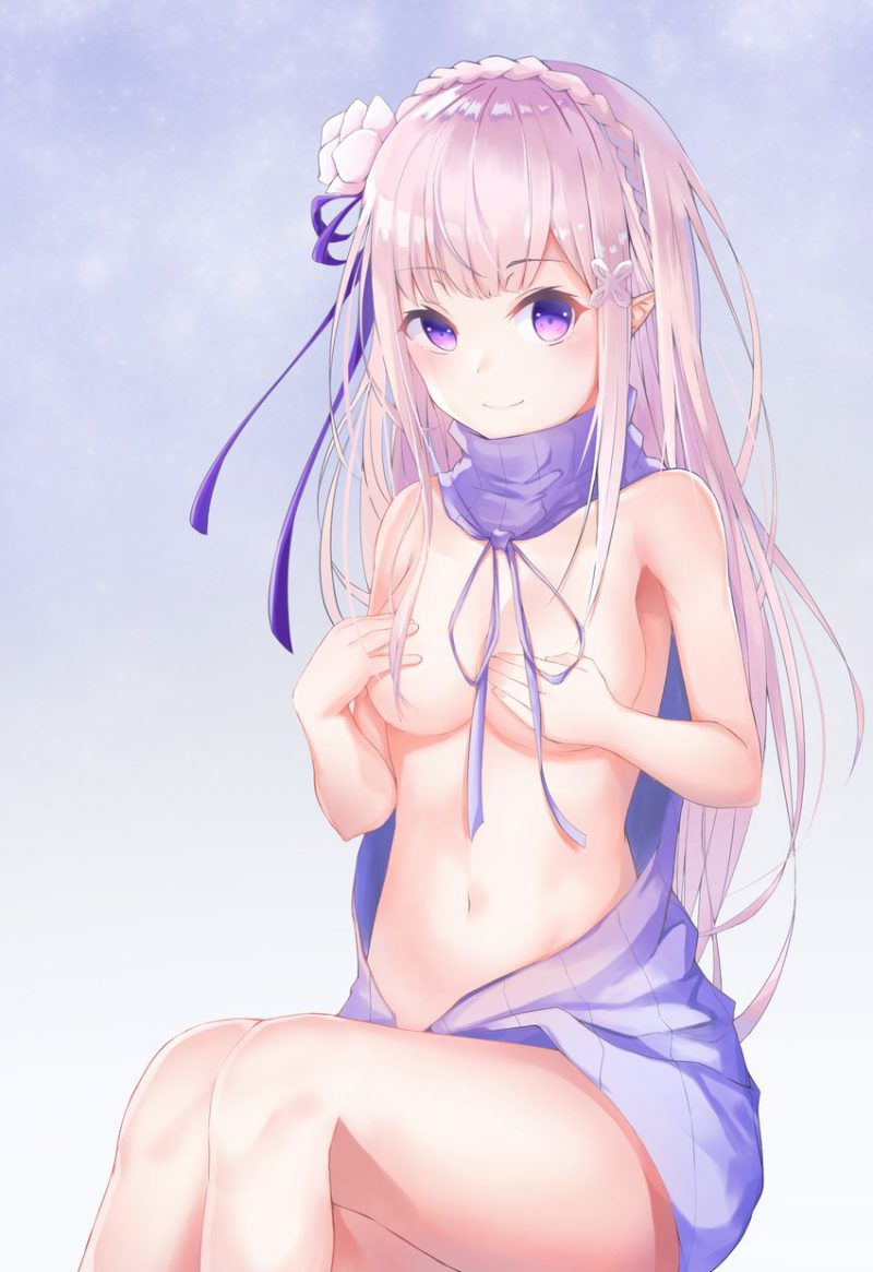 [Secondary erotic] Re: Life in a different world starting from scratch Rezero Emilia's erotic image summary [30 sheets] 24