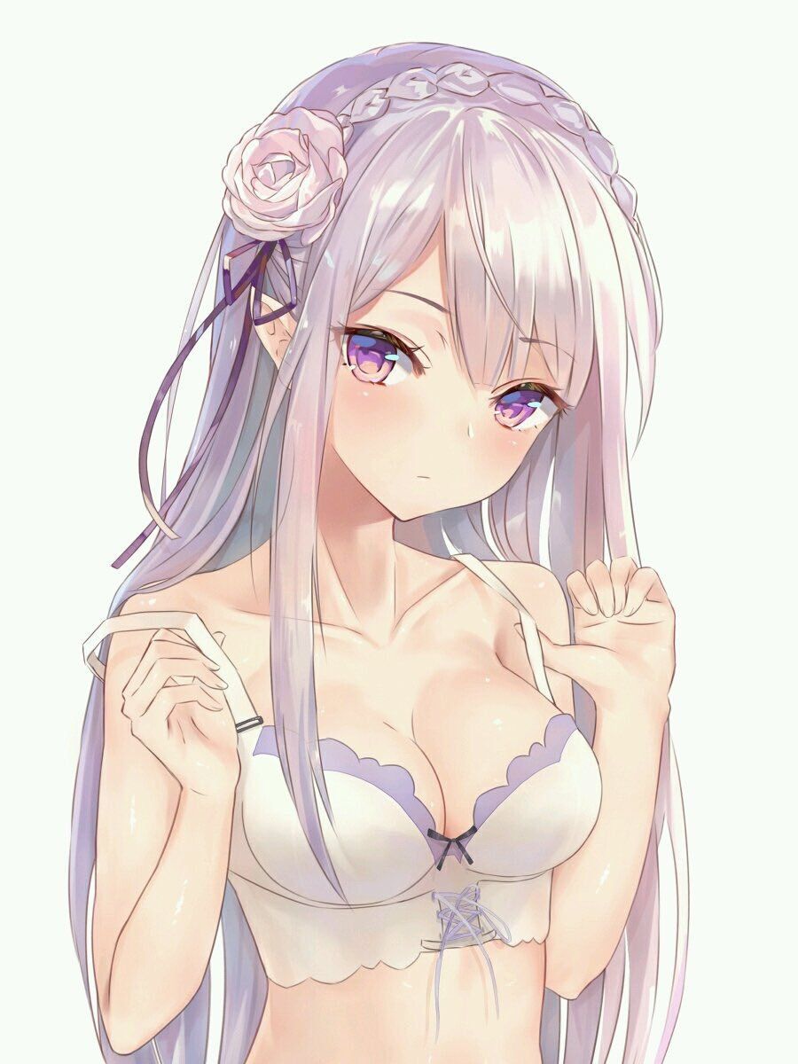 [Secondary erotic] Re: Life in a different world starting from scratch Rezero Emilia's erotic image summary [30 sheets] 28