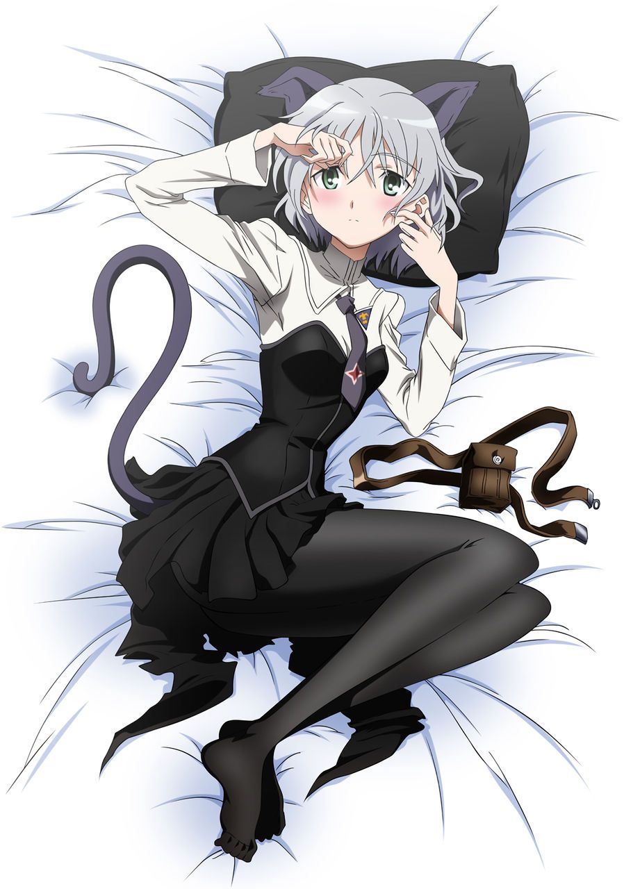 Free erotic image summary of Sanya V. Litvjak who can be happy just by looking! (Strike Witches) 16