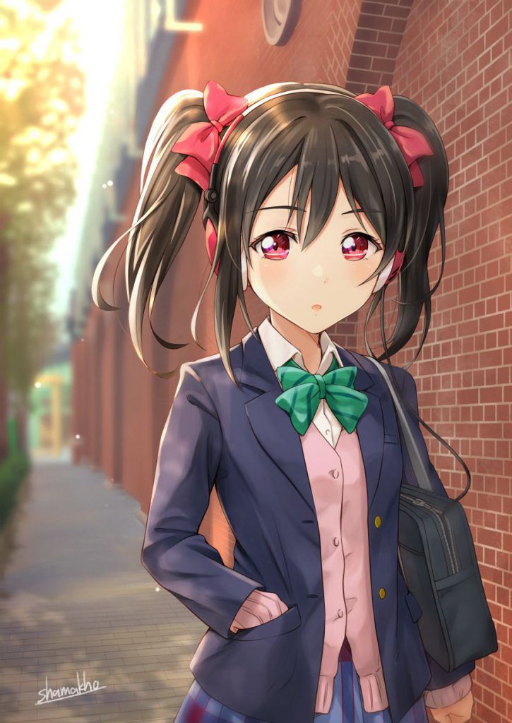 Cute two-dimensional image of twin tails. 19