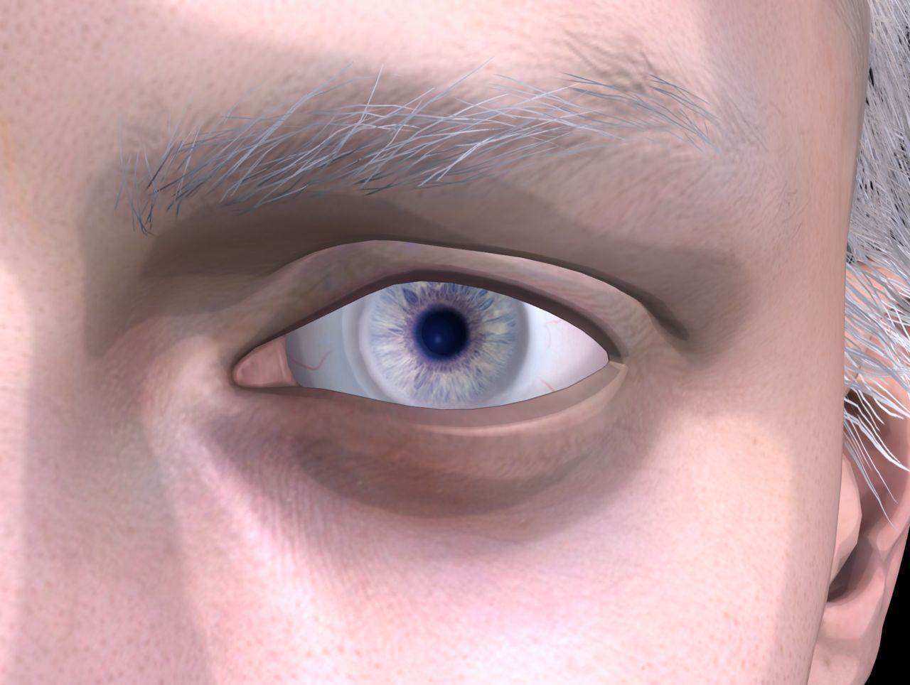 [J.A.] DMC5 | Vergil Head Reference PNG 53