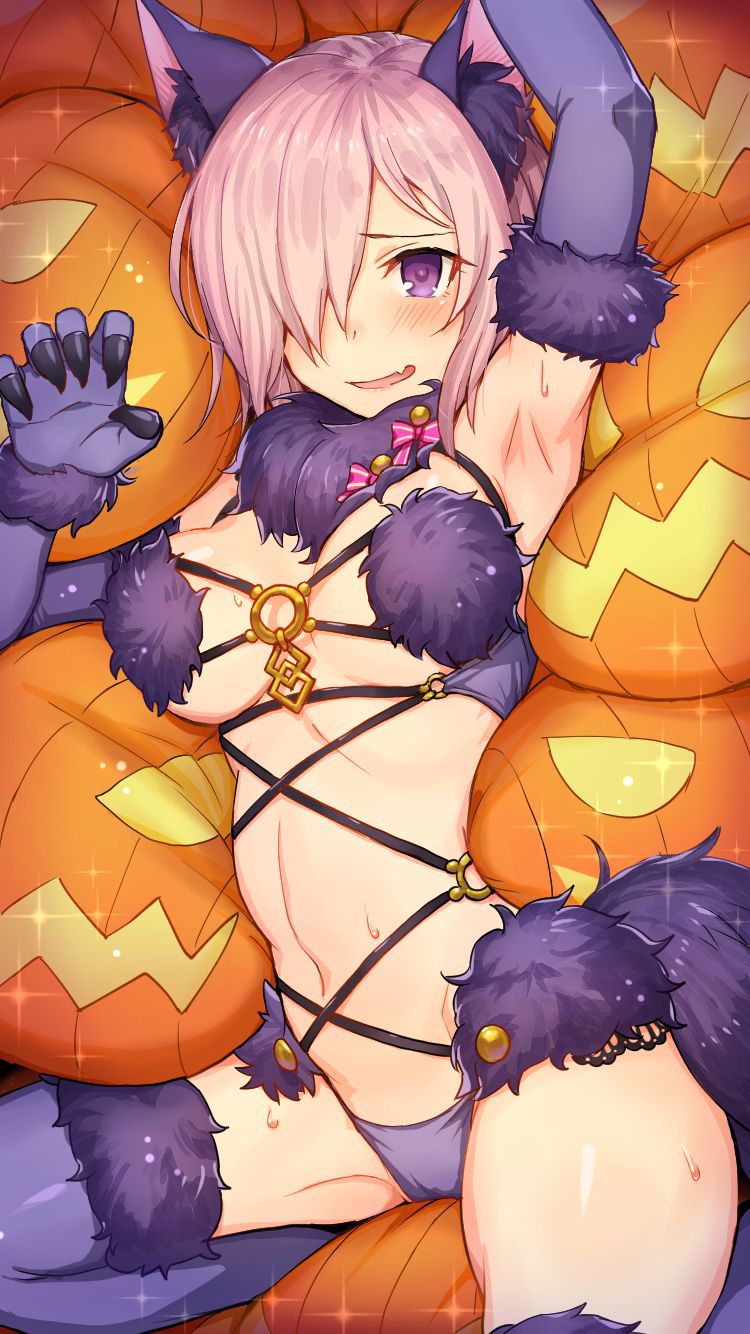 【Secondary image】 Fate/Grand Order Dangerous Beast And Mash Kyrielite's Doskebe Dress Summary! No.01 [20 sheets] 18