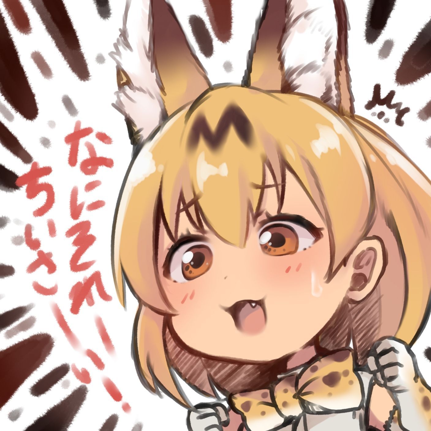 [Secondary erotic] Kemono Friends, Serral's very image summary! No.02 [20 sheets] 3