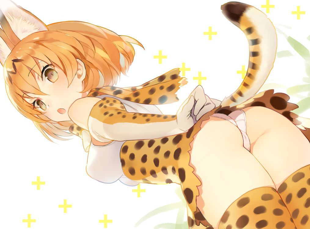 [Secondary erotic] Kemono Friends, Serral's very image summary! No.02 [20 sheets] 8