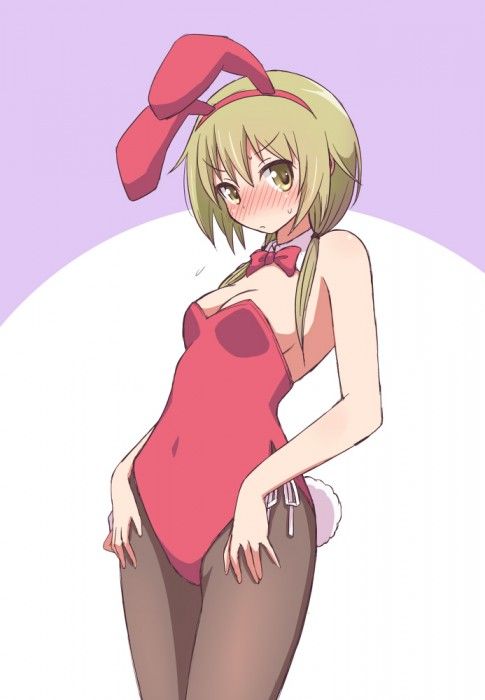 Erotic images of girls in bunny girl costumes [30 pieces] 14