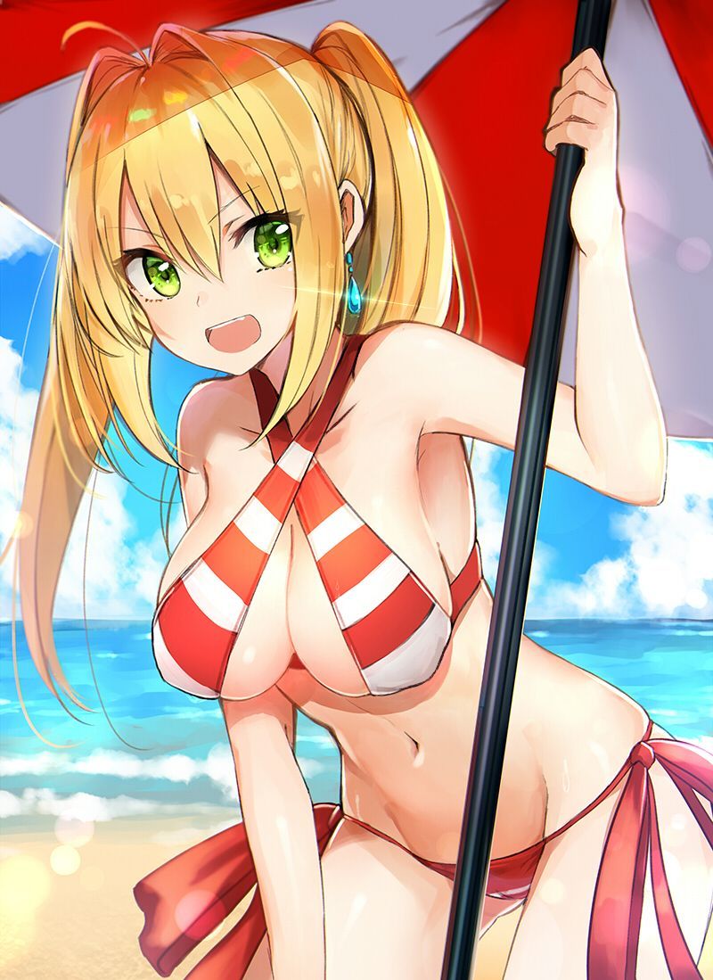 【Secondary】 Fate/Grand Order (Fate/EXTRA-CCC), Nero Claudius' love images summary! No.06 [20 sheets] 14