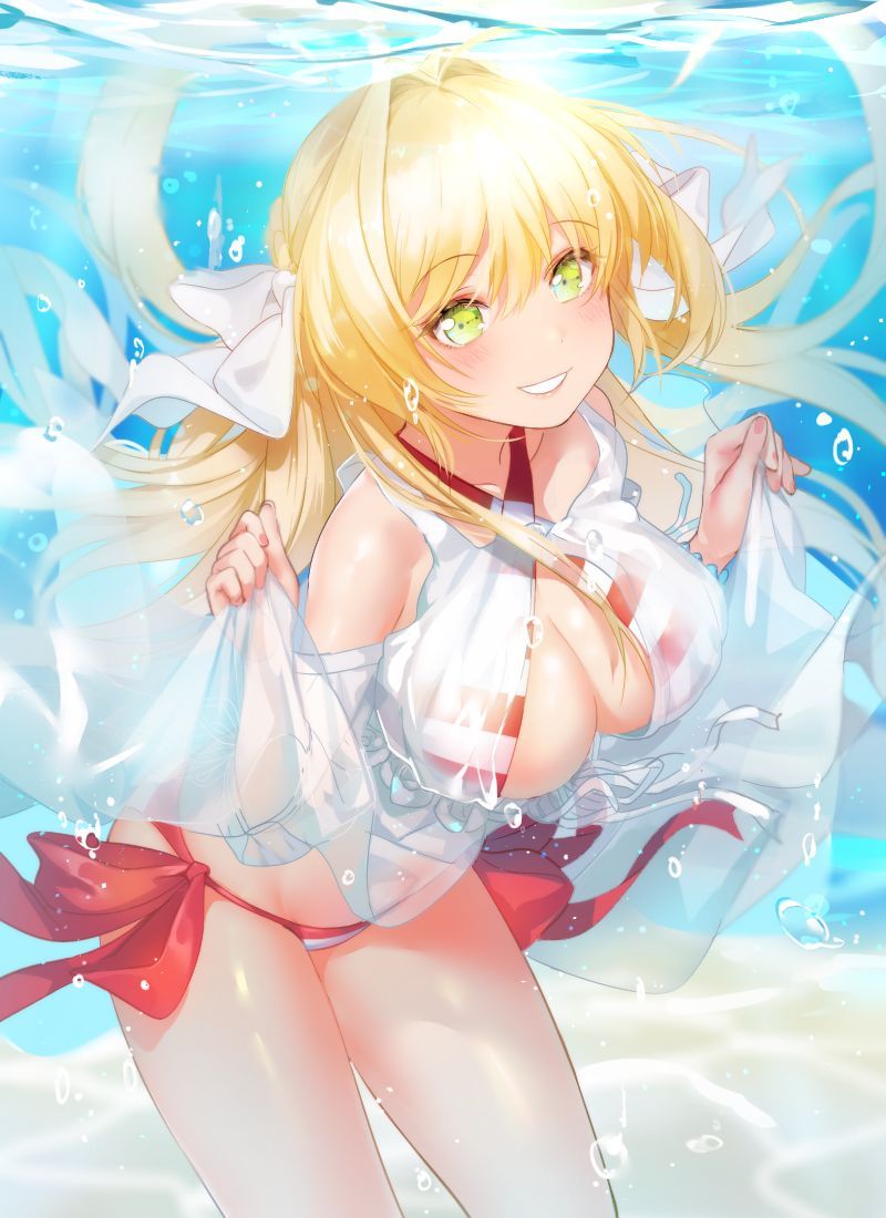 【Secondary】 Fate/Grand Order (Fate/EXTRA-CCC), Nero Claudius' love images summary! No.06 [20 sheets] 17