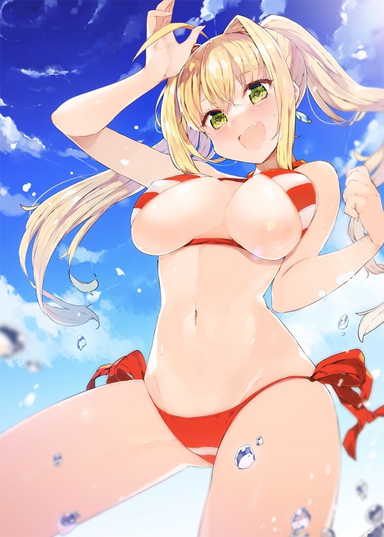 【Secondary】 Fate/Grand Order (Fate/EXTRA-CCC), Nero Claudius' love images summary! No.06 [20 sheets] 5