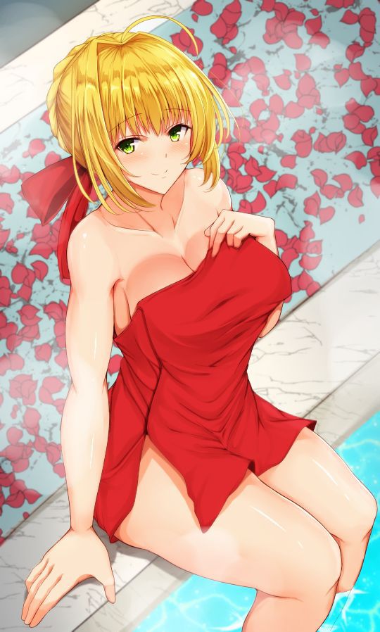 【Secondary】 Fate/Grand Order (Fate/EXTRA-CCC), Nero Claudius' love images summary! No.11 [20 sheets] 7