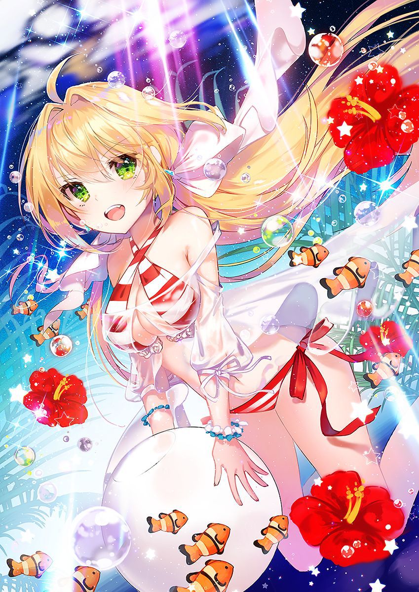 【Secondary】 Fate/Grand Order (Fate/EXTRA-CCC), Nero Claudius' love images summary! No.13 [20 sheets] 15