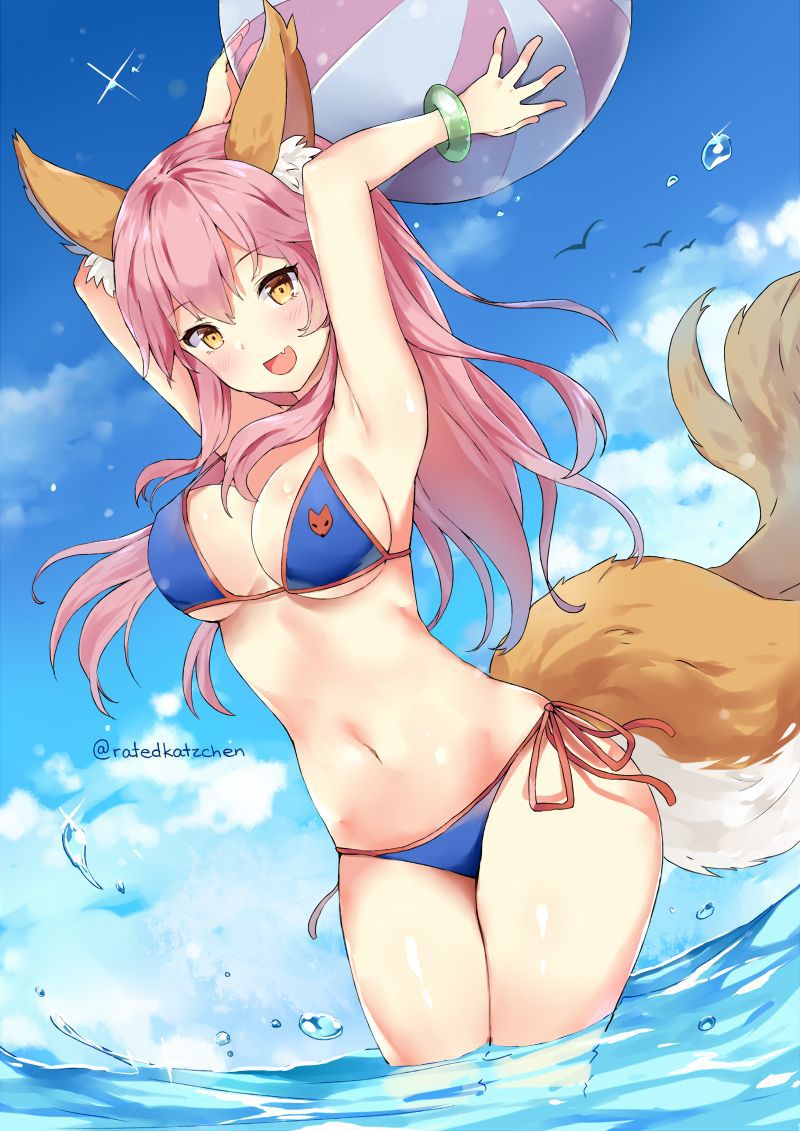 [Secondary erotic] Fate/Grand Order (Fate/EXTRA), cass fox and tamamo's front of the image summary! No.08 [20 sheets] 2
