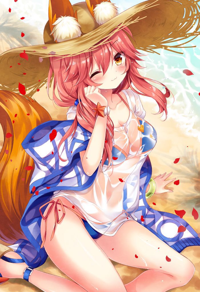 [Secondary erotic] Fate/Grand Order (Fate/EXTRA), cass fox and tamamo's front of the image summary! No.08 [20 sheets] 8